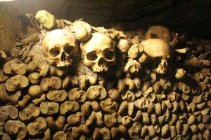 Skulls of the Catacombs in Paris
